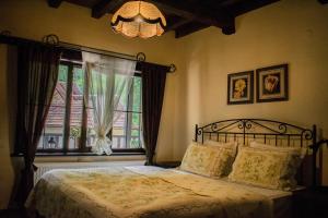 阿普里尔齐Guest House Verbena的一间卧室配有一张带窗户和吊灯的床。