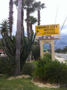 奥兰治城Orange City Motel - Orange City的棕榈树旁的橙色城市汽车旅馆