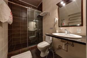 基辅阿雷克散德里亚酒店的浴室配有卫生间、盥洗盆和淋浴。