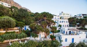 马苏里Hotel Aegean Home Studios & Apartments的享有白色建筑和树木的小镇景色