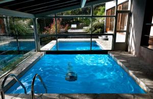 圣卡洛斯-德巴里洛切艾尔德帕兰酒店及水疗中心的一座蓝色的游泳池
