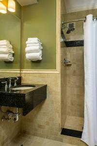 圣路易斯密苏里运动俱乐部酒店的浴室配有盥洗盆、淋浴和毛巾