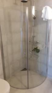 埃基斯蒂尔拉格菲尔一室公寓的浴室里设有玻璃门淋浴
