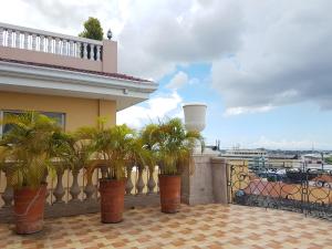 宿务索菲亚套房公寓式酒店的一座楼内种植了棕榈树的阳台