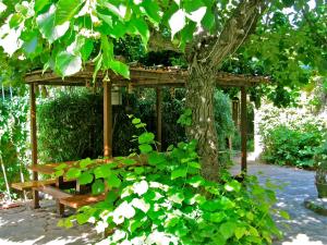 锡富尔勒普拉日Villa Roka的木凉亭,位于树下