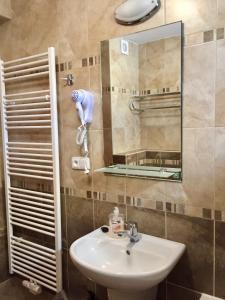 布兰斯科Penzion U Golema Blansko的一间带水槽和镜子的浴室