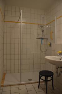 岑平Ferienwohnungen Egon Schulz的带淋浴和盥洗盆的浴室