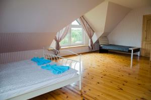 克莱佩达Beautiful & Big Family Villa的一间卧室配有一张带蓝色床单的床和一扇窗户。