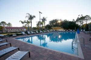 奥兰多Orlando RV Resort的一个带躺椅的大型游泳池,棕榈树