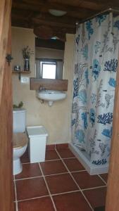 蒂纳霍Caravan Apartment的一间带卫生间和水槽的浴室