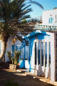 达哈布达哈布艾尔普里莫酒店的棕榈树的蓝色和白色房子