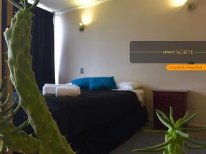伊基克Espacio Norte - Iquique Cavancha的一间卧室配有一张床和一个仙人掌