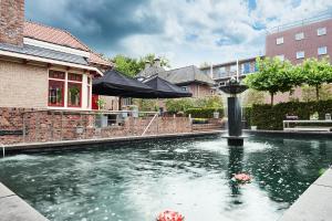 埃曼Guesthouse Villa Emmen的水池中央的喷泉
