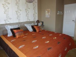 Bayenghem-lès-SeninghemMaison de Charme de La Biette的一间卧室配有一张带橙色棉被的大床