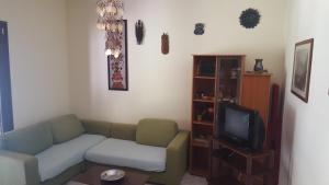 马蒂诺Appartamento Solepineta的带沙发和电视的客厅