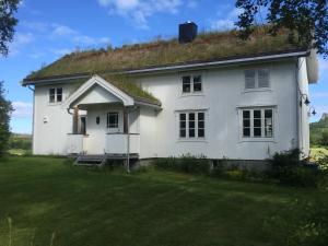 SteigenSteigen Lodge Villa Vaag的白色房子,有草屋顶