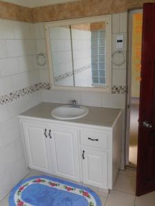 格罗斯岛BenCastle Villa的浴室设有水槽、镜子和地毯。