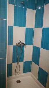 巴耶格兰雷伊菲尔帕公寓的浴室铺有蓝色和白色瓷砖,设有淋浴。