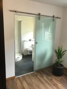 施特罗布尔丽丽湖畔酒店的一间带卫生间和玻璃门的浴室