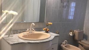 特连特Casa Rural El Chorrillo的一间带水槽和卫生间的浴室