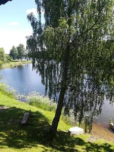RepšiPie Ozola的湖边的树和长凳