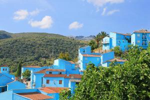 胡斯卡尔夫恩特卡莱拉乡村度假屋的一群在山坡上种满树木的蓝色房子