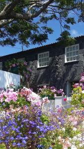 ManadasCasa do Zé - AL的一座石头房子前面有鲜花