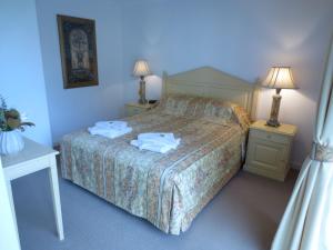 阿德莱德莱兹蓝顶公寓的一间卧室配有一张带两张桌子和两盏灯的床。