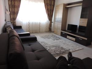 特尔古奥克纳Casa BUCUR的带沙发和电视的客厅