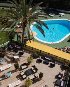 英格兰海滩沙丘公寓的享有带椅子和棕榈树的游泳池的上方景色