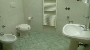 卡斯泰尔菲奥伦蒂诺Agriturismo I due Falcetti的白色的浴室设有卫生间和水槽。