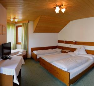 圣维吉利奥Garni Sayonara的一间酒店客房,设有两张床和电视