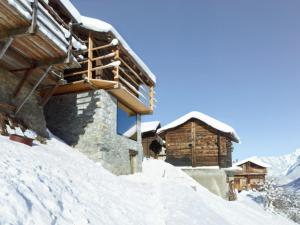 奥西耶尔Chalet Le Biolley的雪覆盖的小屋,有马站在雪中