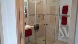 库龙韦诺斯塔弗利里旅馆的一间带玻璃淋浴和水槽的浴室