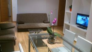 桑亨霍Apartamentos Rúa Virxe do Carme的带沙发和玻璃桌的客厅