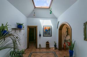 特吉塞Villa El Jable Lanzarote的走廊设有白色的墙壁和天窗