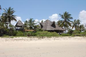 PanganiThe Beach Crab Resort的棕榈树海滩上的度假村