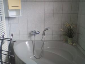 德累斯顿Ferienwohnung Naturnah的浴室设有浴缸和淋浴。