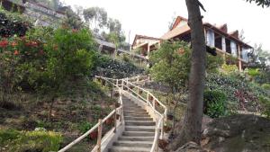 吉塞尼Hakuna Matata Lodge的通往山上房屋的楼梯