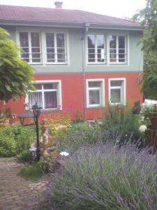 德累斯顿Ferienwohnung Naturnah的花园里有消防栓的房子