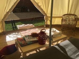 Buckland图安姆雷农庄的一个带桌子、书籍和书籍的帐篷
