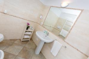卡里索洛罗塔拉罗萨德拉多洛米蒂酒店的一间带水槽和镜子的浴室