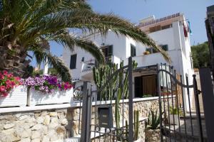蓬扎Casa Baia Luna的棕榈树和鲜花的白色房子