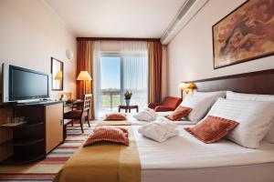 普图伊格兰德普利姆斯酒店 - 特尔梅普土伊 - 萨瓦酒店及度假村的酒店客房设有一张大床和一台电视。