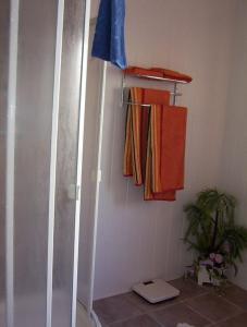 DollnsteinFerienwohnung Meier Eveline的带淋浴的浴室以及架子上的毛巾