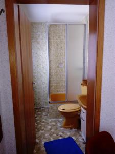 温特贝格Mollseifer Hof的一间带卫生间和淋浴的浴室
