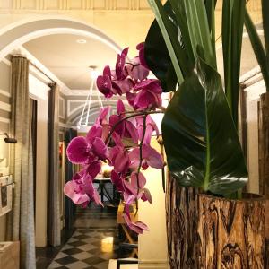 巴黎贵族酒店的走廊里布满紫色花的花瓶