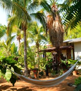 埃斯孔迪多港 莫扎特马康多别墅酒店的棕榈树屋前的吊床