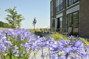 恩克赫伊曾德乐酒店的一座花园,在一座建筑前种有紫色花卉