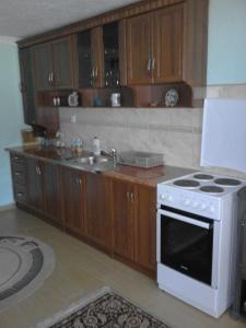 扎布利亚克Apartment Luka的厨房配有炉灶和水槽